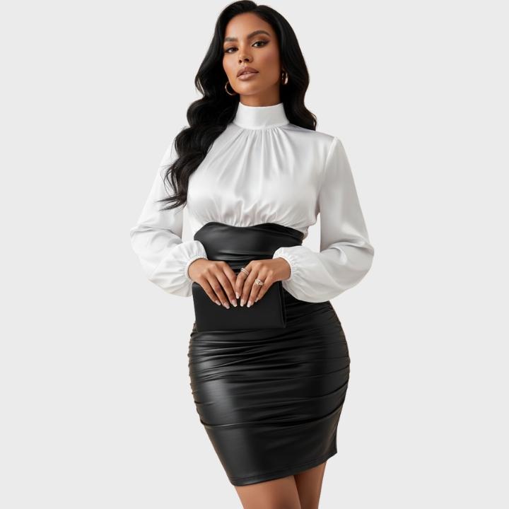Women's Stylish Stand Collar Black and White Bodycon Dress