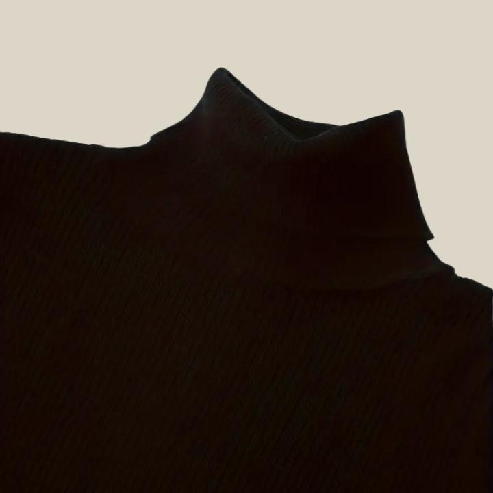 Basic Solid Color Long Sleeve Turtleneck 3 piece Bundle