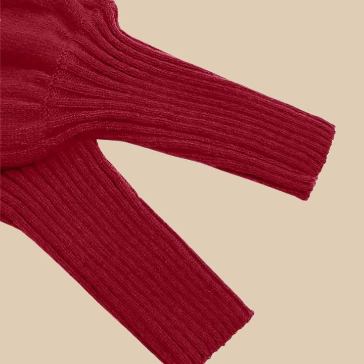 Women's Classic Ribbed High Collar Sweater