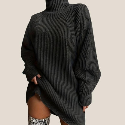 Women’s Plus Size Ribbed Sweater Dress