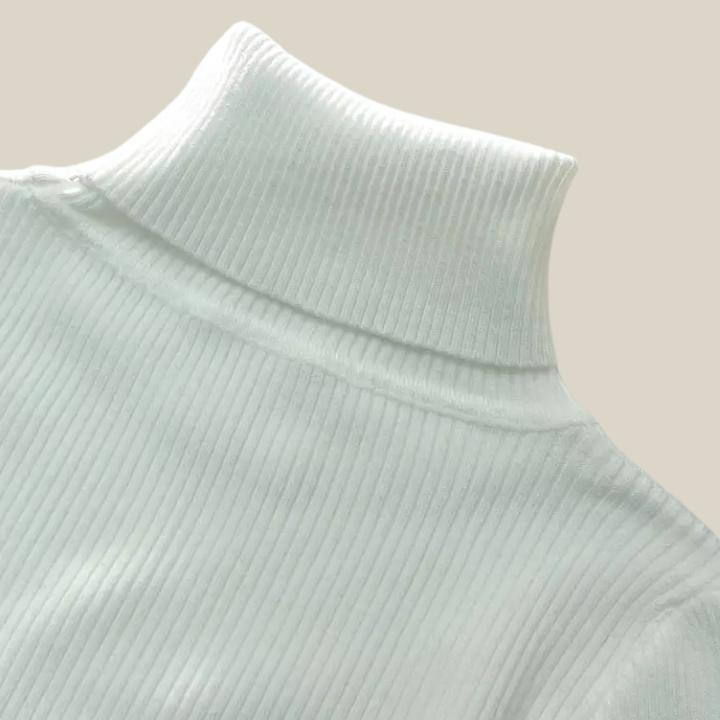 Basic Solid Color Long Sleeve Turtleneck 3 piece Bundle