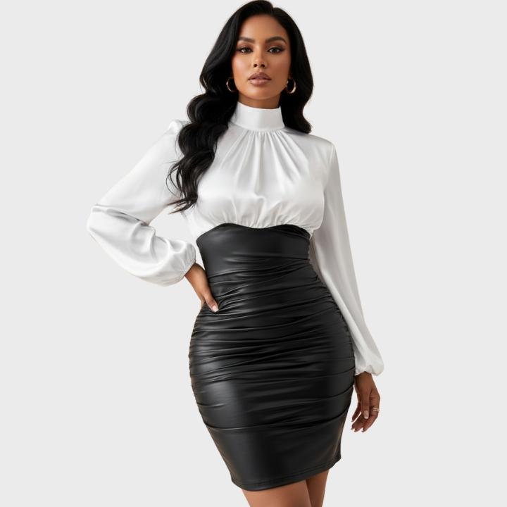 Women's Stylish Stand Collar Black and White Bodycon Dress