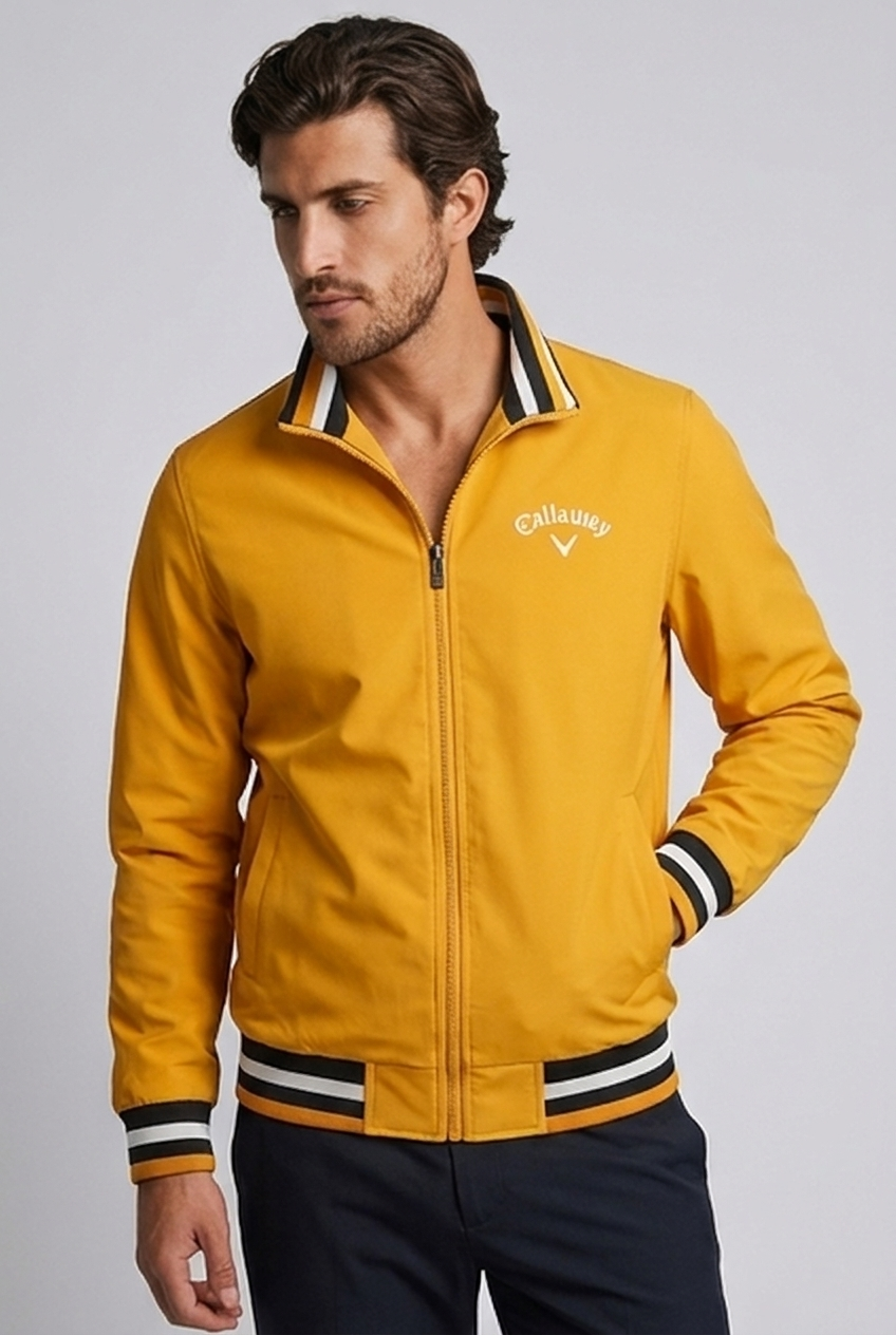 Stand Collar Zip Up Bomber Jacket Men