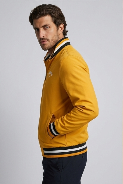 Stand Collar Zip Up Bomber Jacket Men